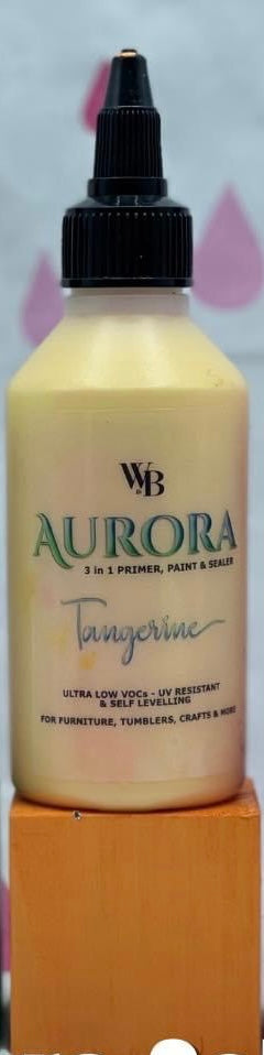 AURORA 3in1 Primer, Paint & Sealer - pots