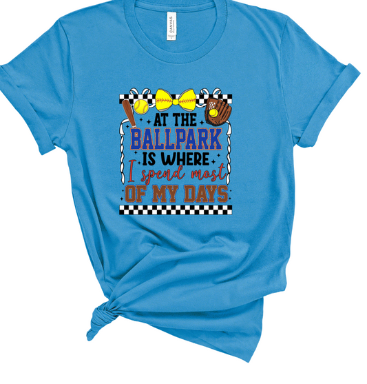 At the Ballpark is Where I Spend Most of My Days shirt
