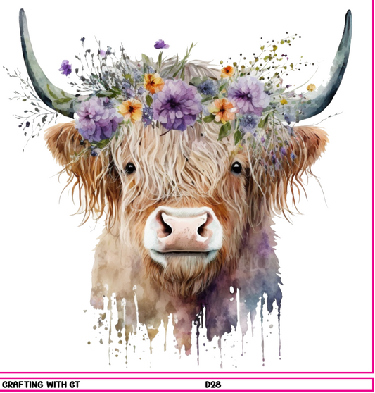 D28 Highland Cow 1 decal