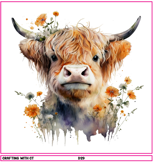 D29 Highland Cow 2 decal