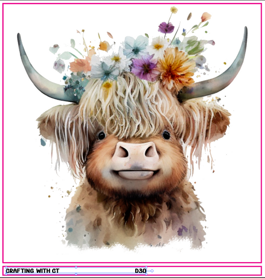 D30 Highland Cow 3 decal
