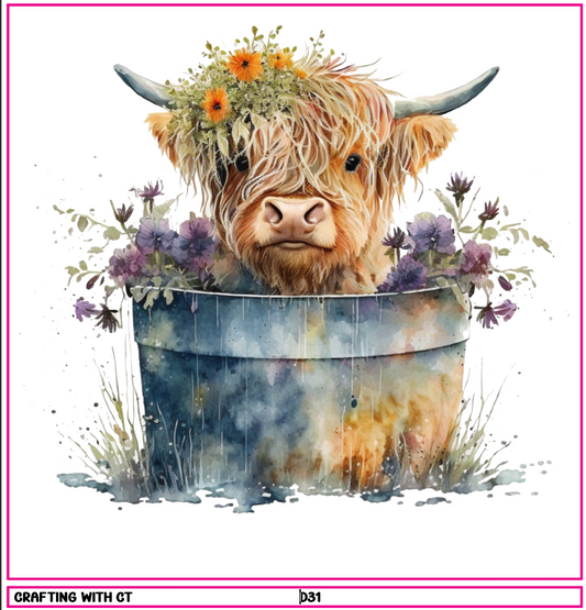D31 Highland Cow 4 decal