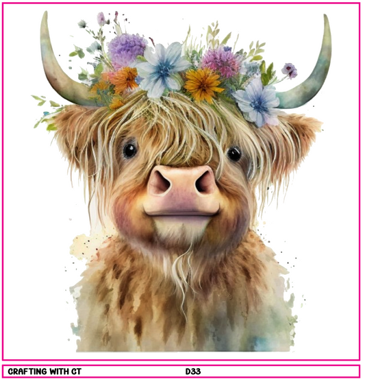 D33 Highland Cow 6 decal