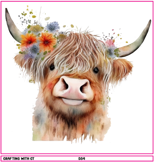 D34 Highland Cow 7 decal
