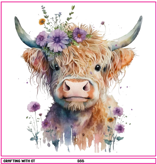 D35 Highland Cow 8 decal