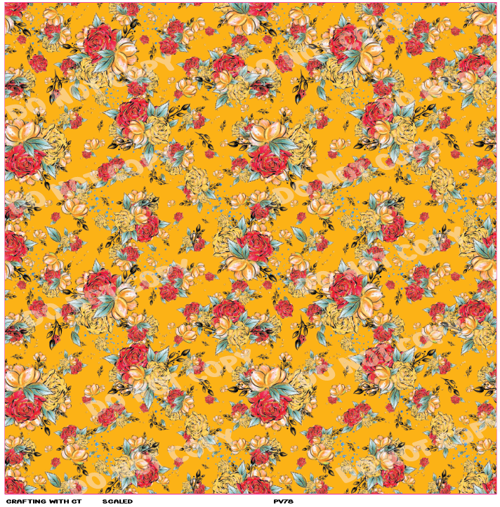 PV78 Beauty roses v3 vinyl sheet